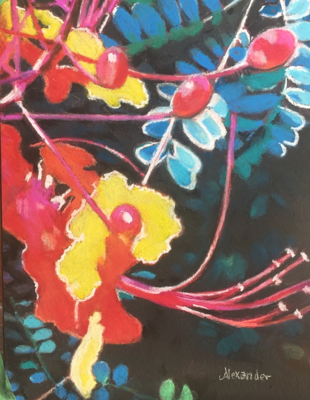 Pride of Barbados by artist Jeanette Alexander